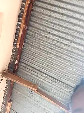 Snapshot of Momojasmine0 chatting on November 2025 12:21:01 PM Momojasmine0 online show from November 2025 12:21:01 PM