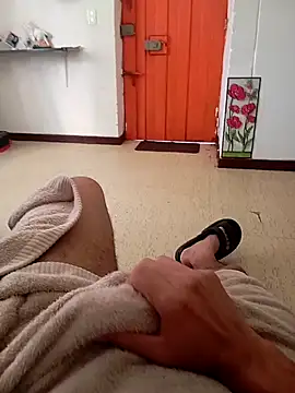 Snapshot of prototipoA45 chatting on February 2026 02:06:02 PM prototipoA45 online show from February 2026 02:06:02 PM