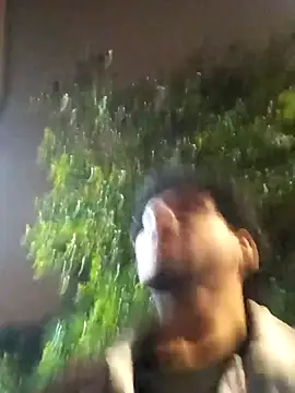 Snapshot of prototipoA45 chatting on February 2026 05:24:01 AM prototipoA45 online show from February 2026 05:24:01 AM