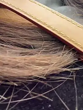 Snapshot of Cara-02 chatting on November 2025 04:34:02 AM Cara-02 online show from November 2025 04:34:02 AM