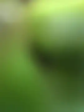 Lynly k2 online show from February 2026 05:29:01 AM