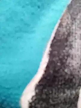 Snapshot of Lynn-122 chatting on March 2026 03:23:01 AM Lynn-122 online show from March 2026 03:23:01 AM