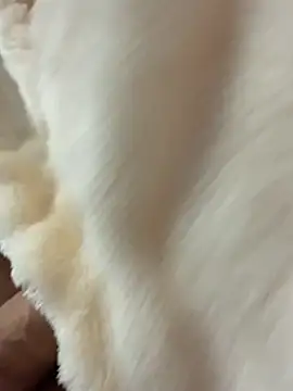 Kyser91 online show from March 2026 11:07:01 PM