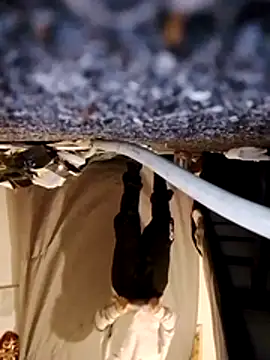 WeakDegree76 online show from January 2026 06:58:02 PM