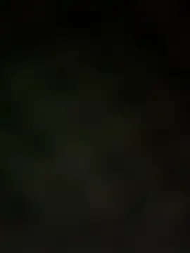 trickydickydaddy online show from March 2026 07:57:01 AM