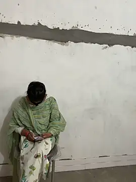 Sunita-collage online show from November 2025 04:50:01 AM