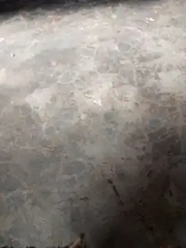 Snapshot of WillfulVideo chatting on November 2025 10:41:02 AM WillfulVideo online show from November 2025 10:41:02 AM