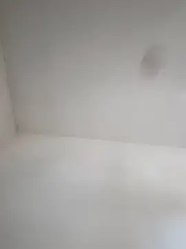 Lupercinio online show from November 2025 02:17:02 PM