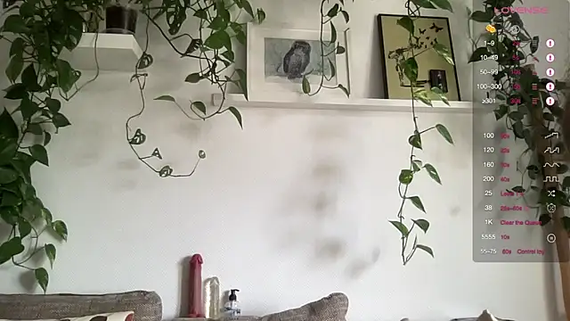 the new fit rubinho online show from February 2026 10:24:02 AM