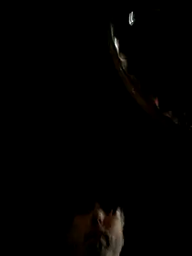 throbbbyxh online show from December 2025 02:22:02 AM