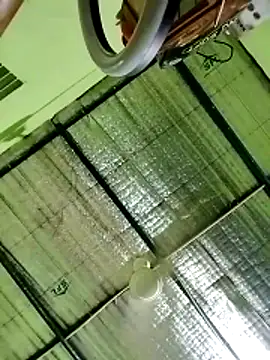 Keya-009 online show from March 2026 09:54:02 AM