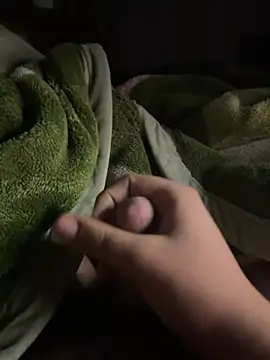 Snapshot of VavEBig chatting on November 2025 11:20:01 PM VavEBig online show from November 2025 11:20:01 PM