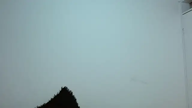 dayan hanks online show from March 2026 03:28:02 AM