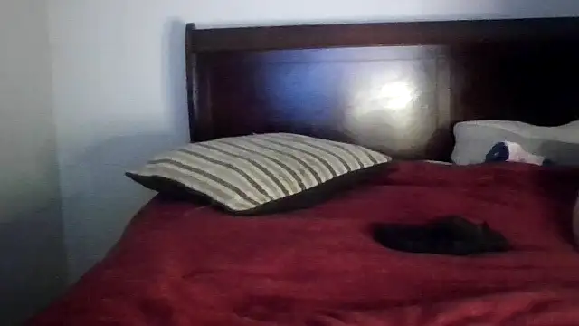 Dusaa  online show from December 2025 08:36:01 PM