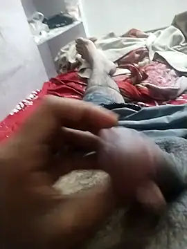 hyderabad single online show from December 2025 07:41:01 PM