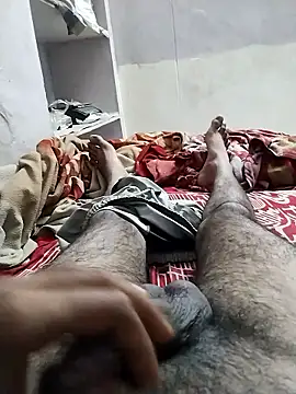 hyderabad single online show from January 2026 12:30:01 PM