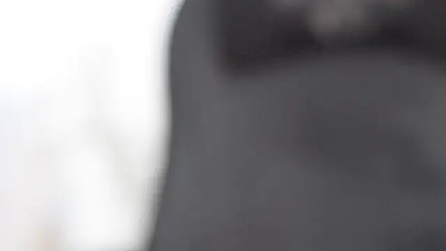 sexywarrior  online show from January 2026 08:43:02 AM