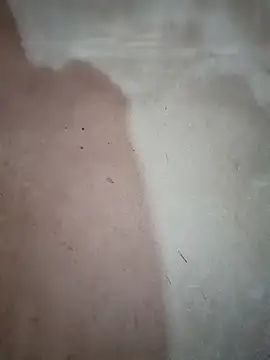 Snapshot of blonde_blg chatting on December 2025 12:46:01 AM blonde blg online show from December 2025 12:46:01 AM