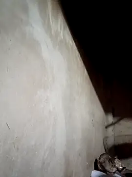 blonde blg online show from March 2026 04:48:02 AM