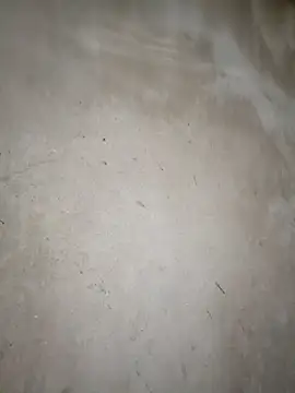 blonde blg online show from March 2026 11:33:01 PM