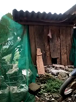 blonde blg online show from March 2026 11:24:01 PM