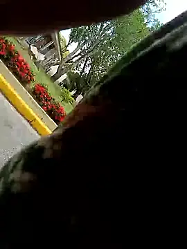 MonasticCanine online show from January 2026 04:13:01 PM