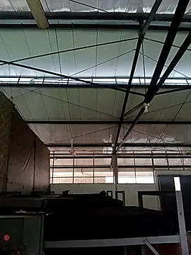 MonasticCanine online show from November 2025 11:32:01 AM