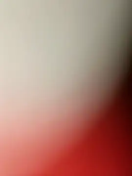 MonasticCanine online show from December 2025 01:06:01 AM