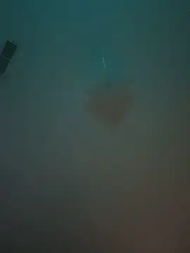 machineslut online show from June 2026 12:12:02 AM