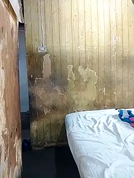 Alana phs online show from November 2025 02:06:02 PM