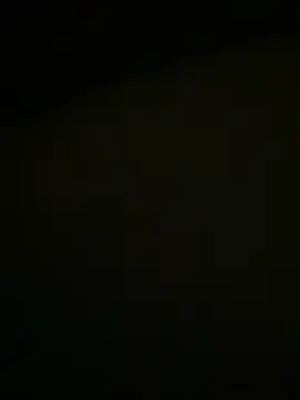 Dona Mafia online show from December 2025 02:36:02 AM