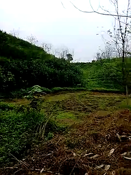 Cloud-wh online show from March 2026 12:40:01 AM