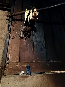 -Chua-90 online show from January 2026 11:36:02 AM