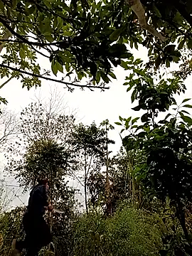 -Chua-90 online show from February 2026 10:37:02 AM