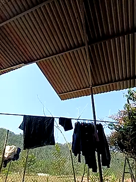 -Chua-90 online show from March 2026 03:17:01 AM