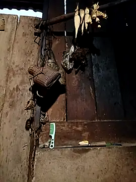 -Chua-90 online show from February 2026 11:36:02 PM