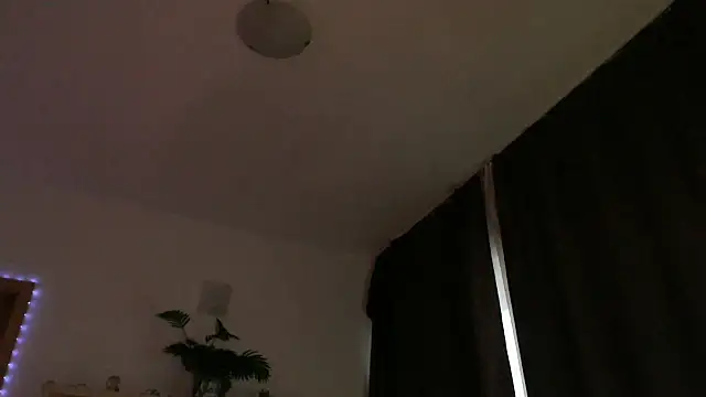 MissyDior8 online show from December 2025 05:50:02 AM