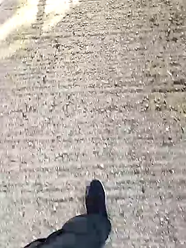 Unknown18cmxh online show from December 2025 08:41:02 AM