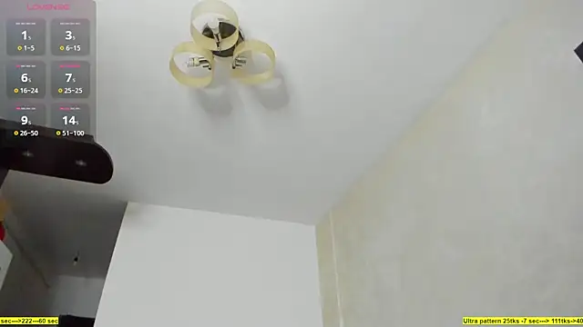 Snapshot of foxx_giirl chatting on December 2025 01:14:02 PM foxx giirl online show from December 2025 01:14:02 PM