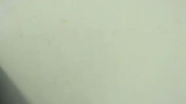 Snapshot of thiagoramirez_ chatting on November 2025 01:11:02 AM thiagoramirez online show from November 2025 01:11:02 AM