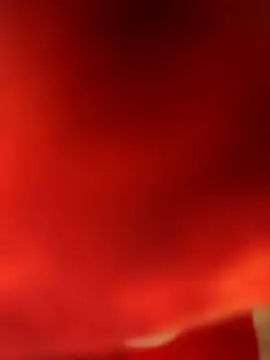 Ragner-6 9 online show from March 2026 08:01:02 PM