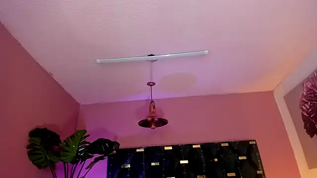 Velvet Dreamss online show from March 2026 11:41:01 AM