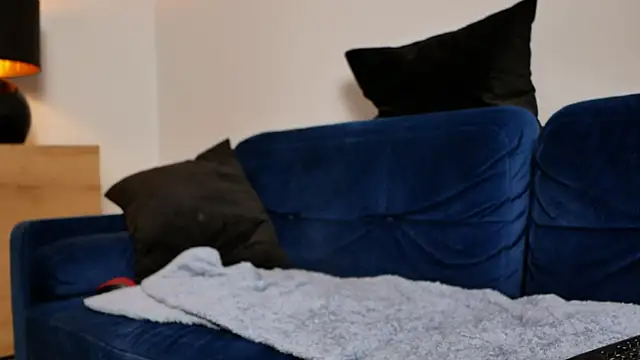 BellaBlush03 online show from February 2026 08:22:02 PM