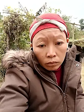 girl-hot2x online show from January 2026 02:51:02 AM