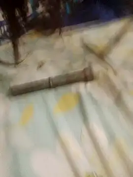 Snapshot of Bhabhiji9170 chatting on November 2025 03:05:02 PM Bhabhiji9170 online show from November 2025 03:05:02 PM