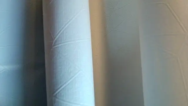 LilyFox t online show from November 2025 01:28:01 PM