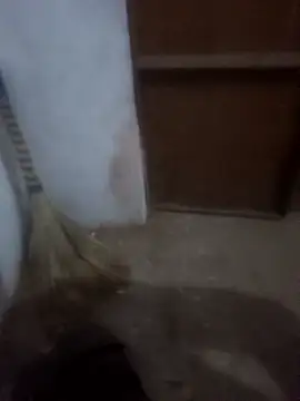 Neha cut79 online show from January 2026 01:17:02 PM