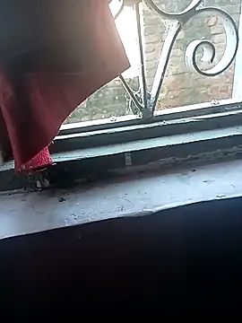 hotyyyyjonny online show from November 2025 06:17:01 AM