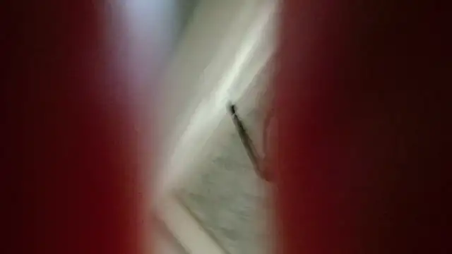 Snapshot of Natali-Gucci chatting on November 2025 10:02:01 PM Natali-Gucci online show from November 2025 10:02:01 PM