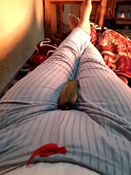 Tota sexi online show from December 2025 11:31:01 AM